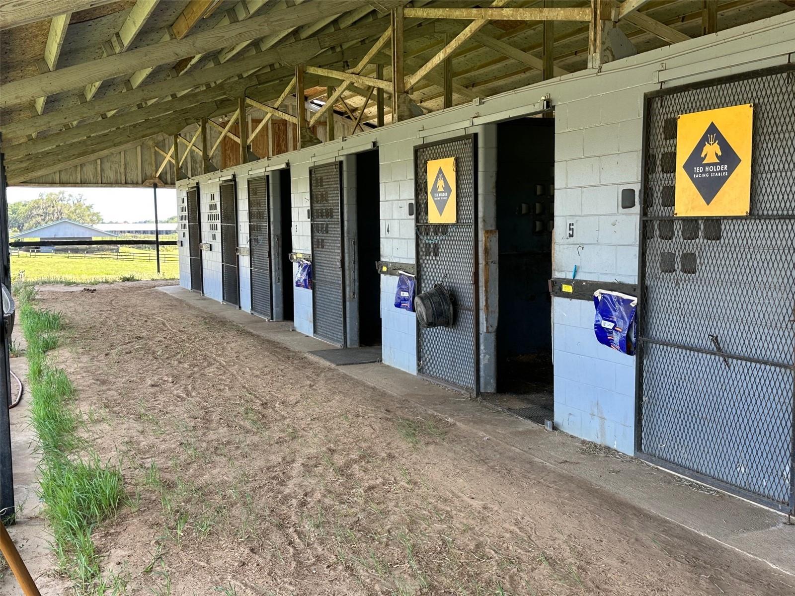 OM677279 Property Photo