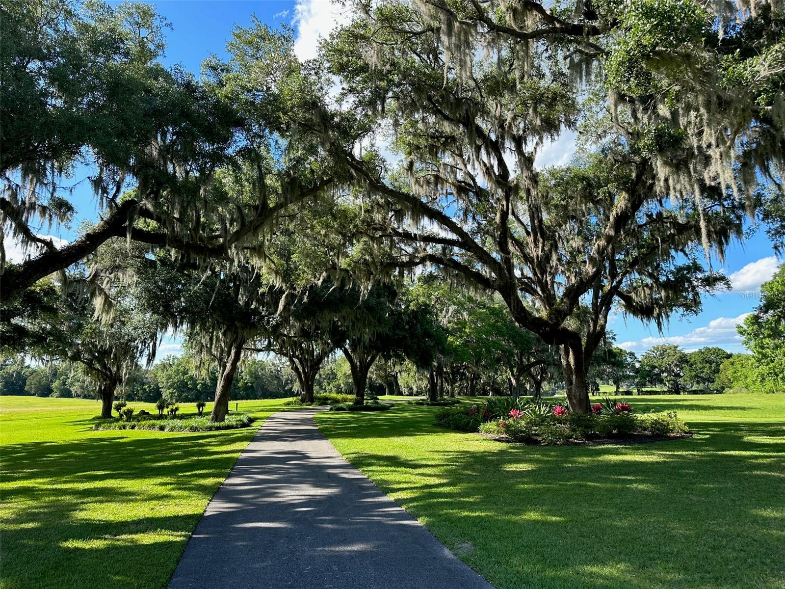 OM677279 Property Photo