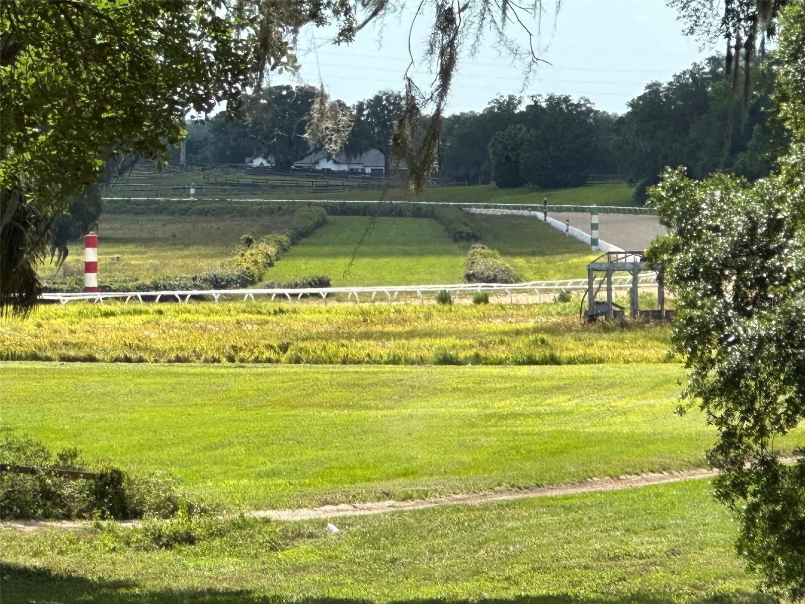 OM677279 Property Photo