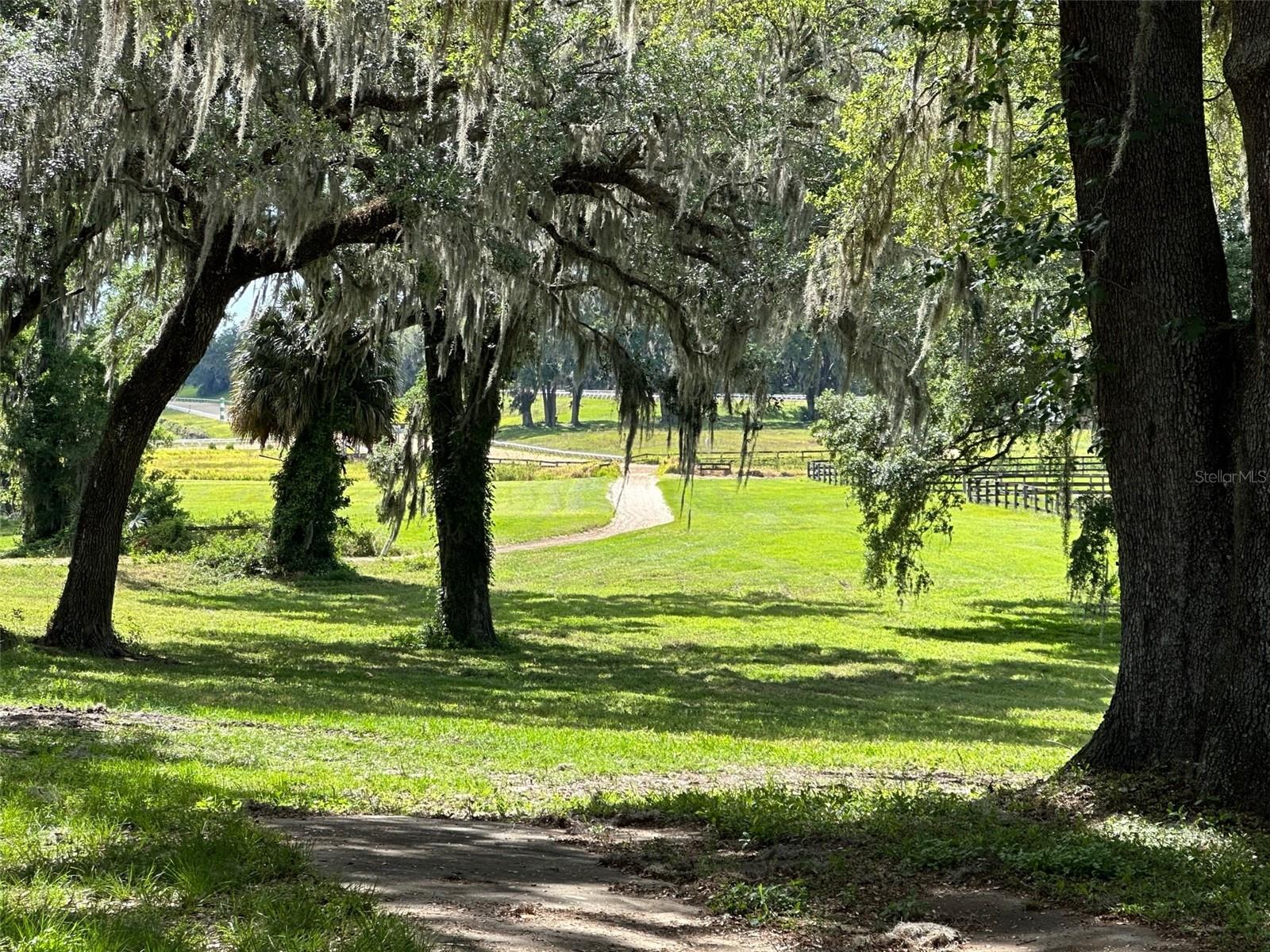 OM677279 Property Photo