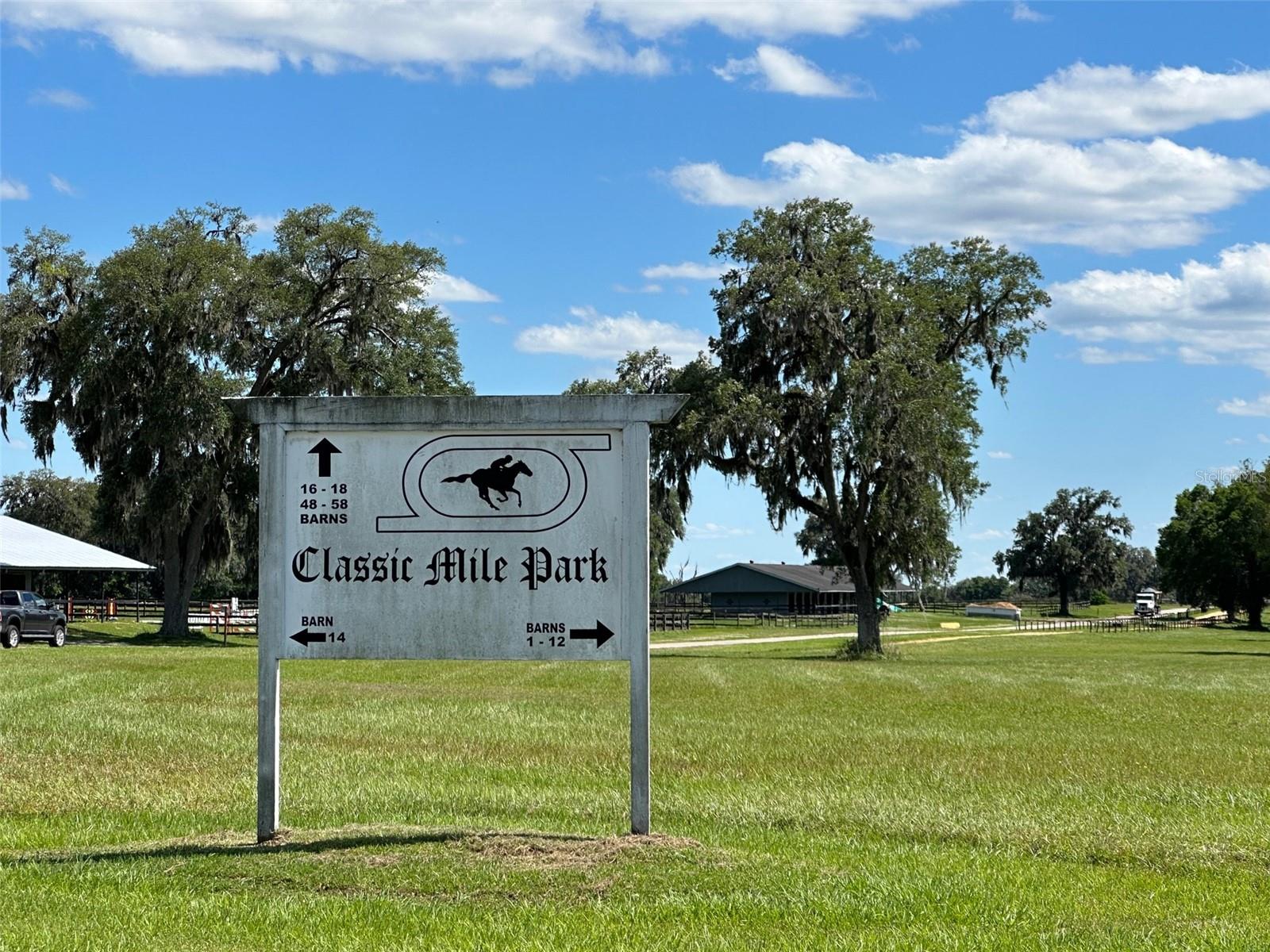 OM677279 Property Photo