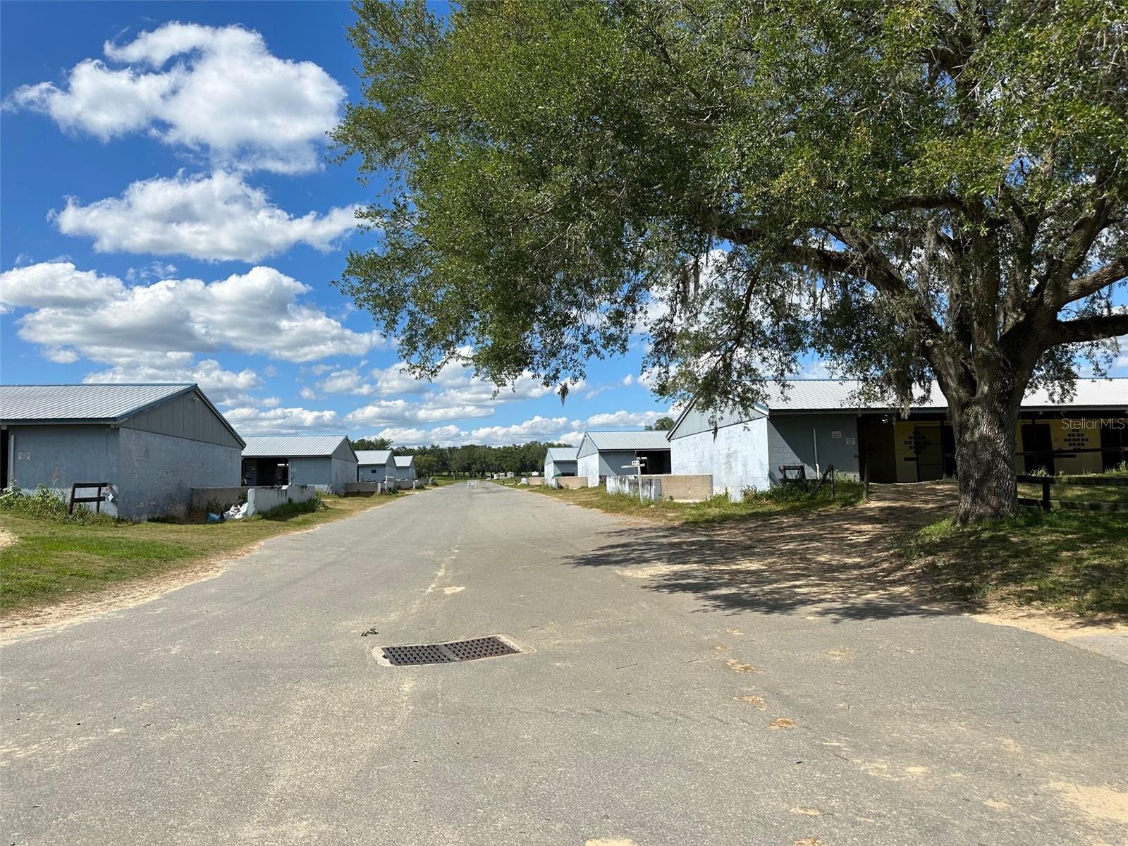 OM677279 Property Photo