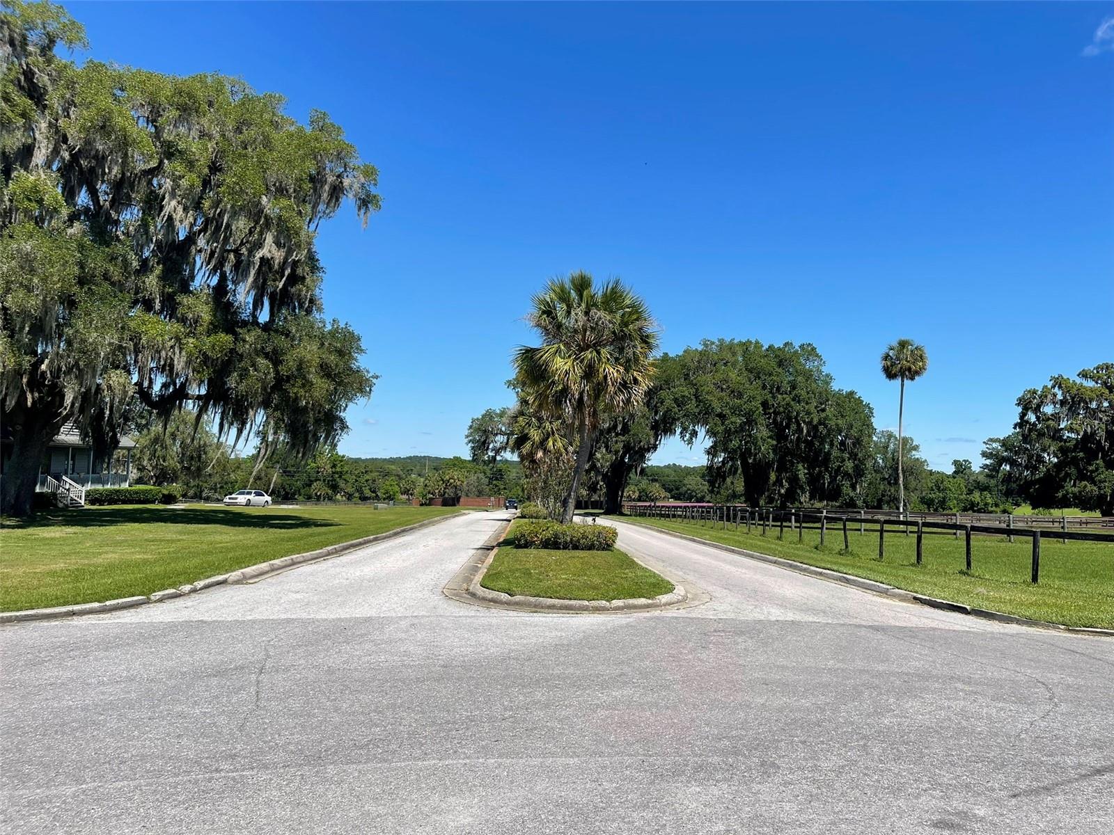 OM677279 Property Photo