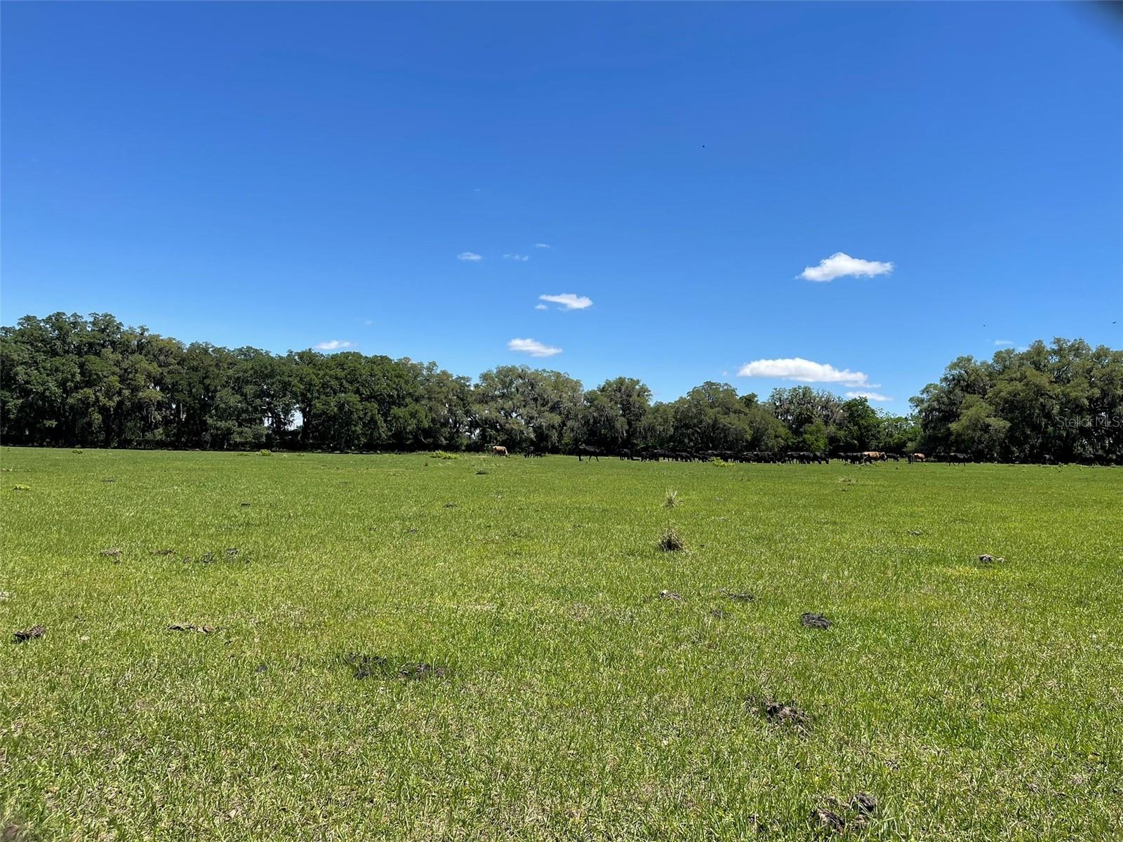 OM677279 Property Photo