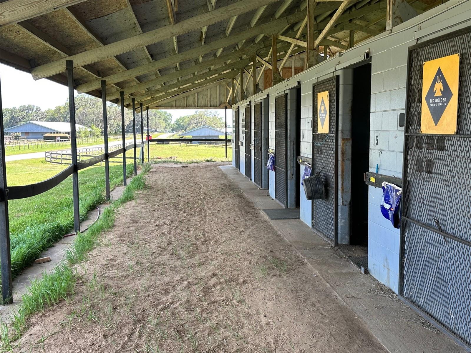 OM677279 Property Photo