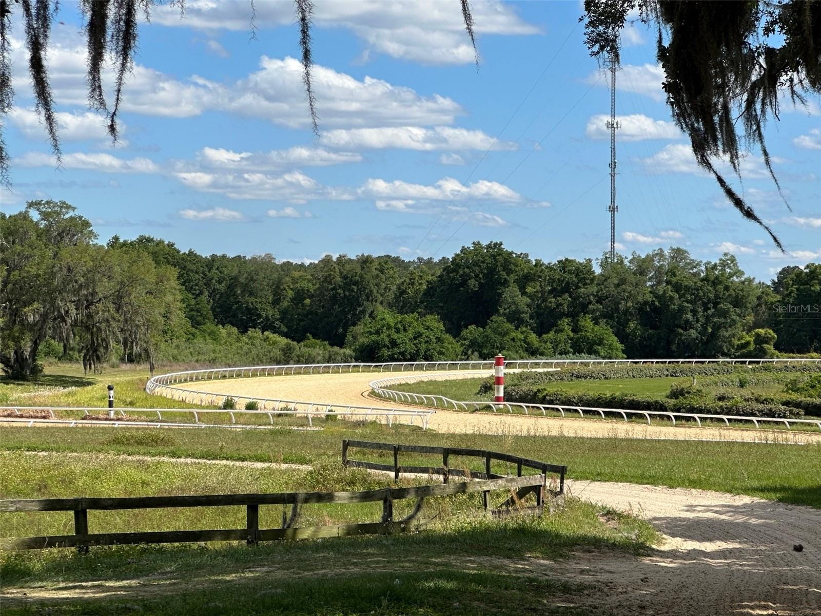 OM677279 Property Photo