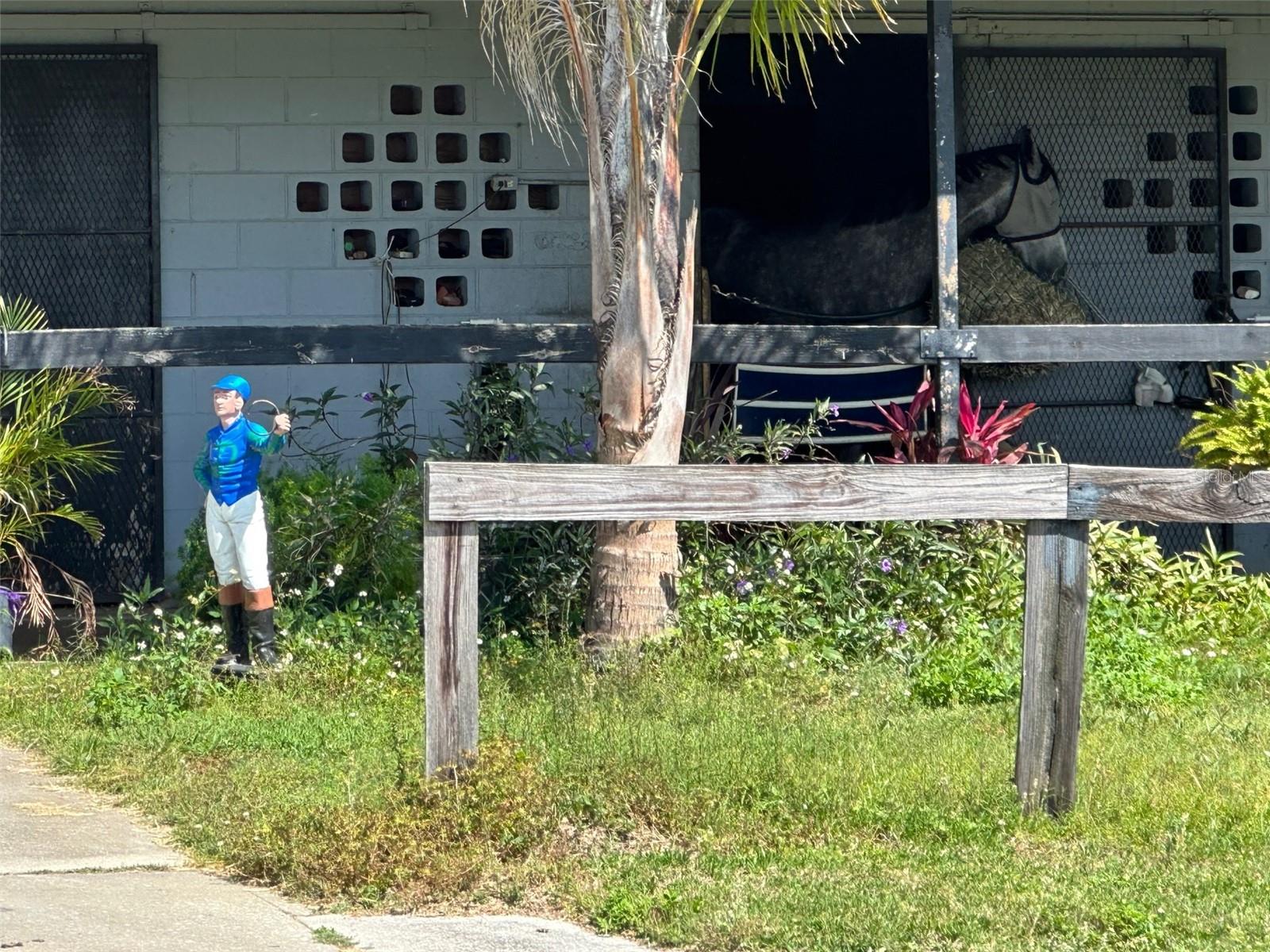 OM677279 Property Photo