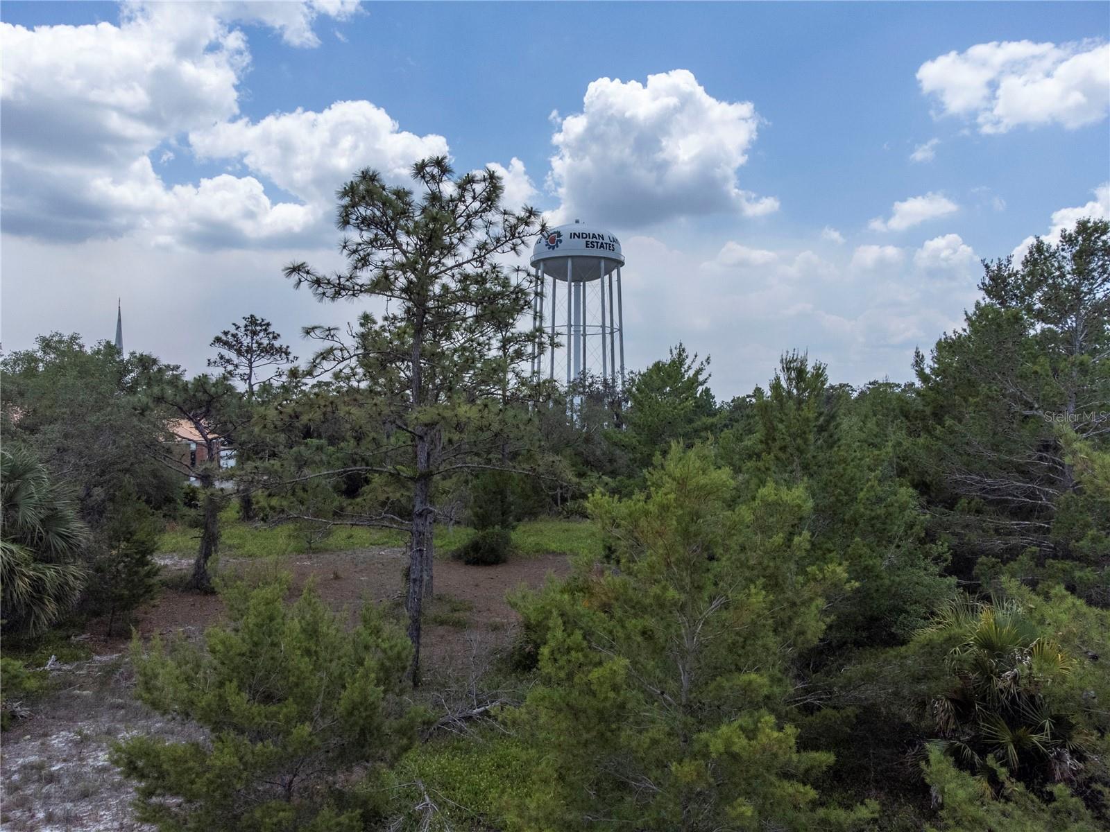 6168 ARBOREA DR, LAKE WALES, FL, 33898