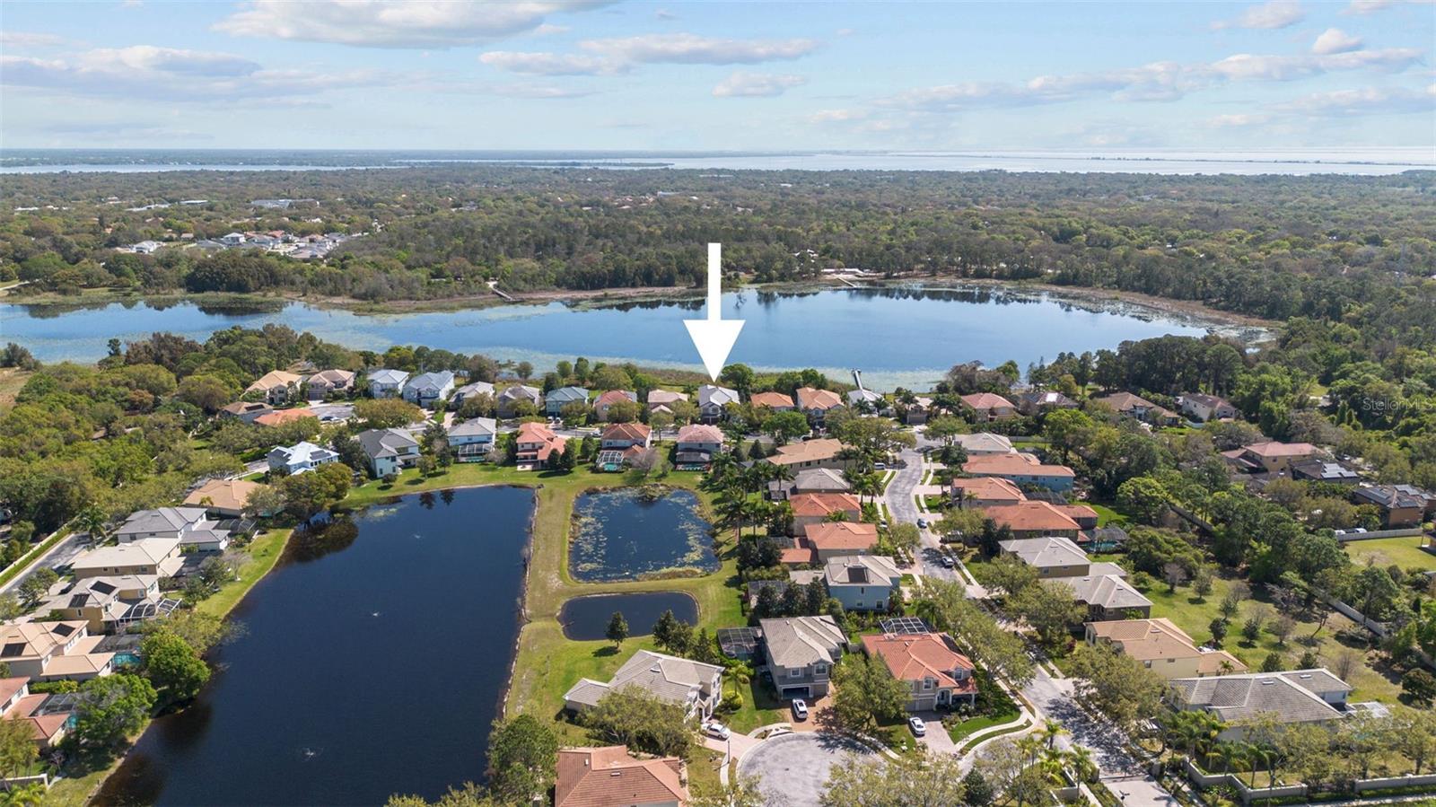2707 LAKEBREEZE LN S, CLEARWATER, FL, 33759