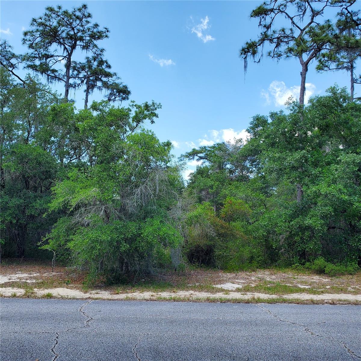 1345 ST AUGUSTINE CT, KISSIMMEE, FL, 34759