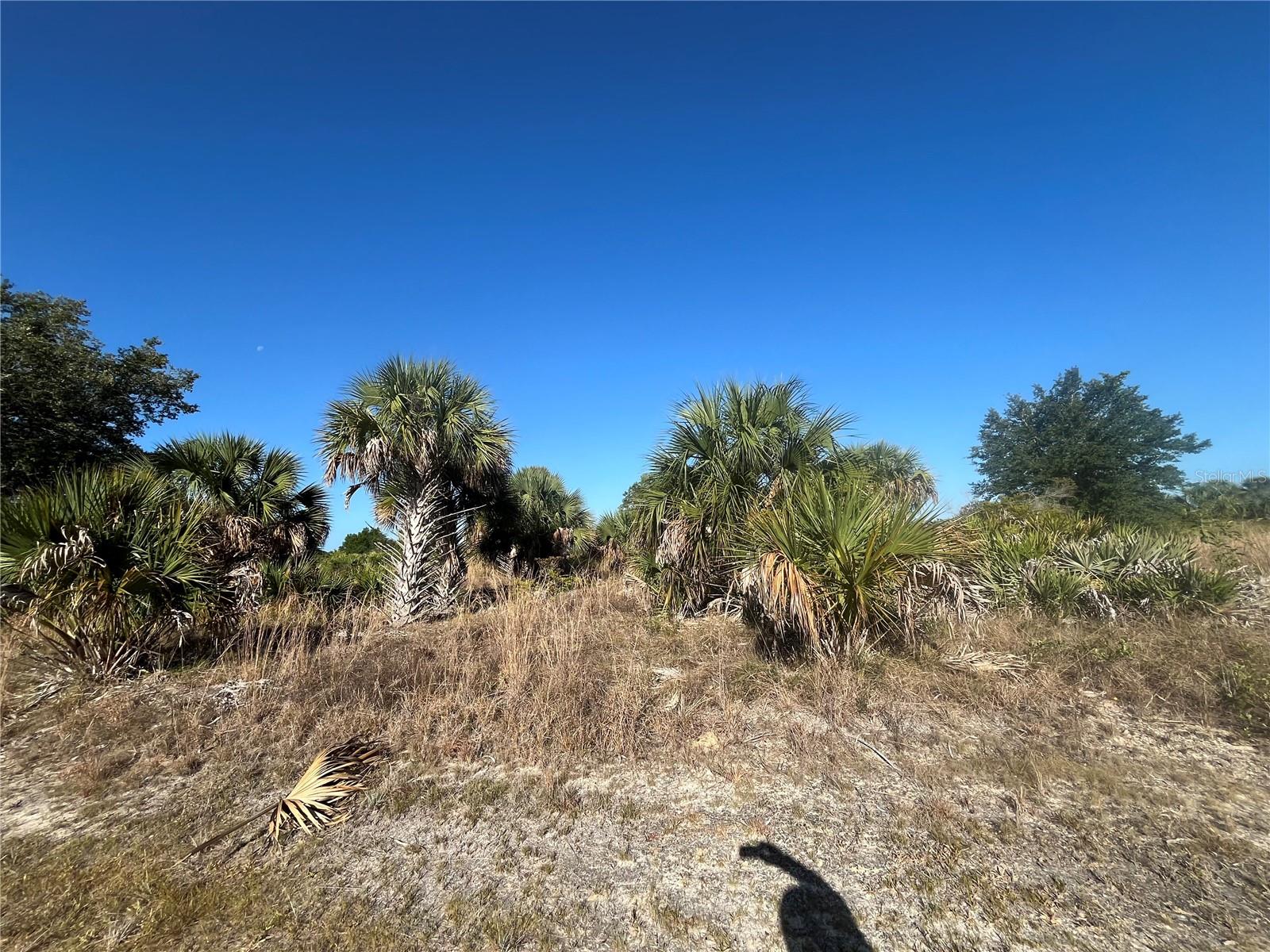 15218 NW 316TH ST, OKEECHOBEE, FL, 34972