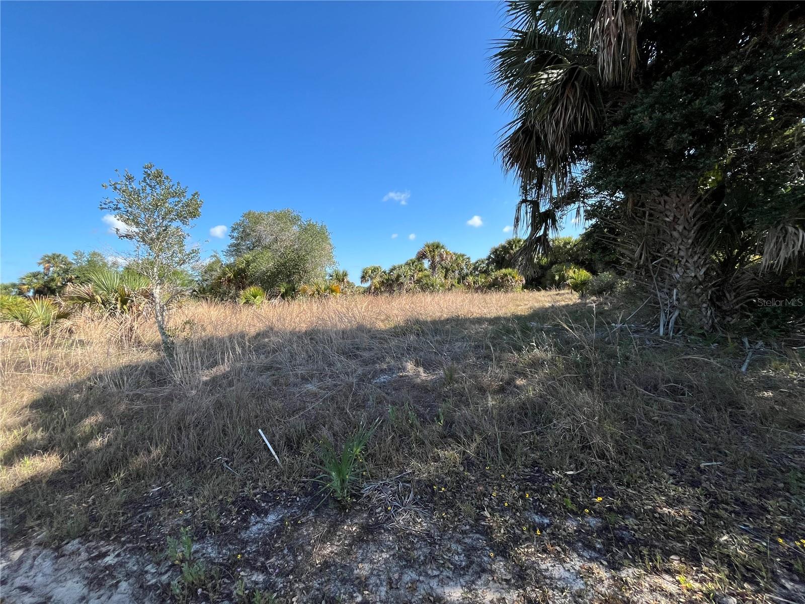 15218 NW 316TH ST, OKEECHOBEE, FL, 34972