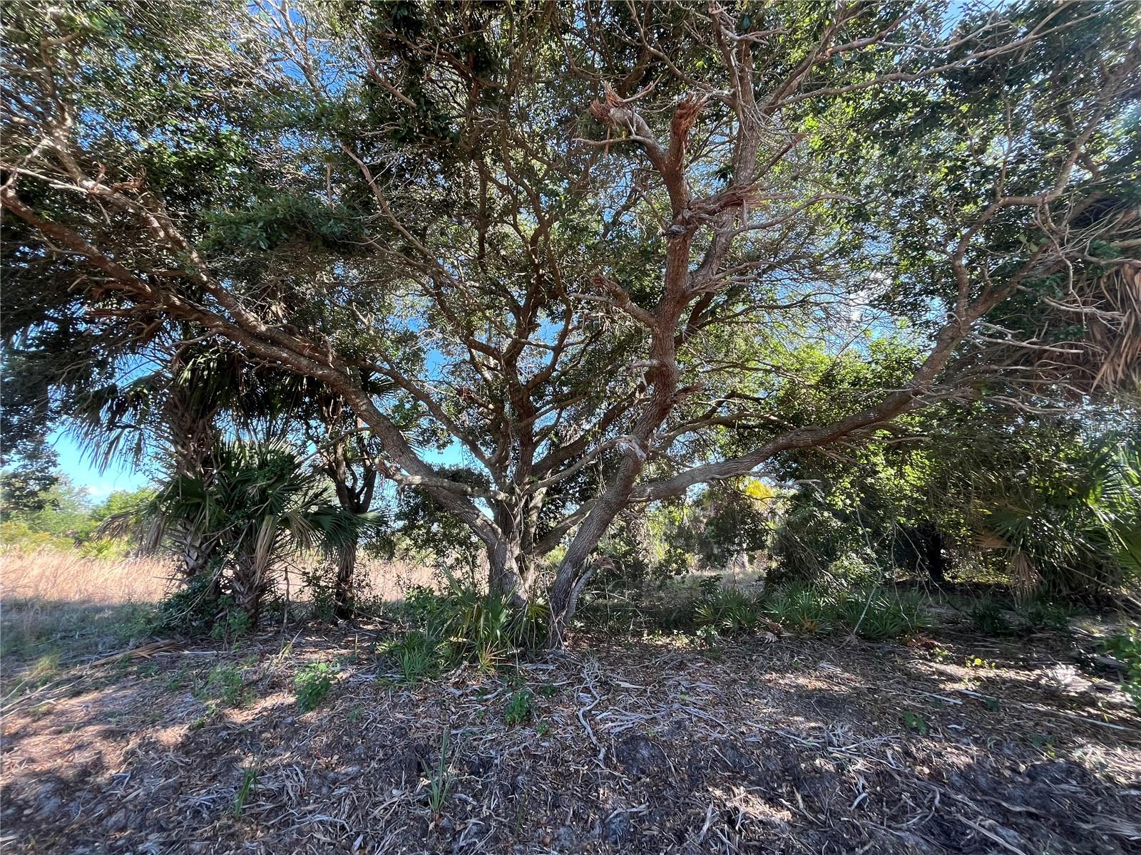 15218 NW 316TH ST, OKEECHOBEE, FL, 34972