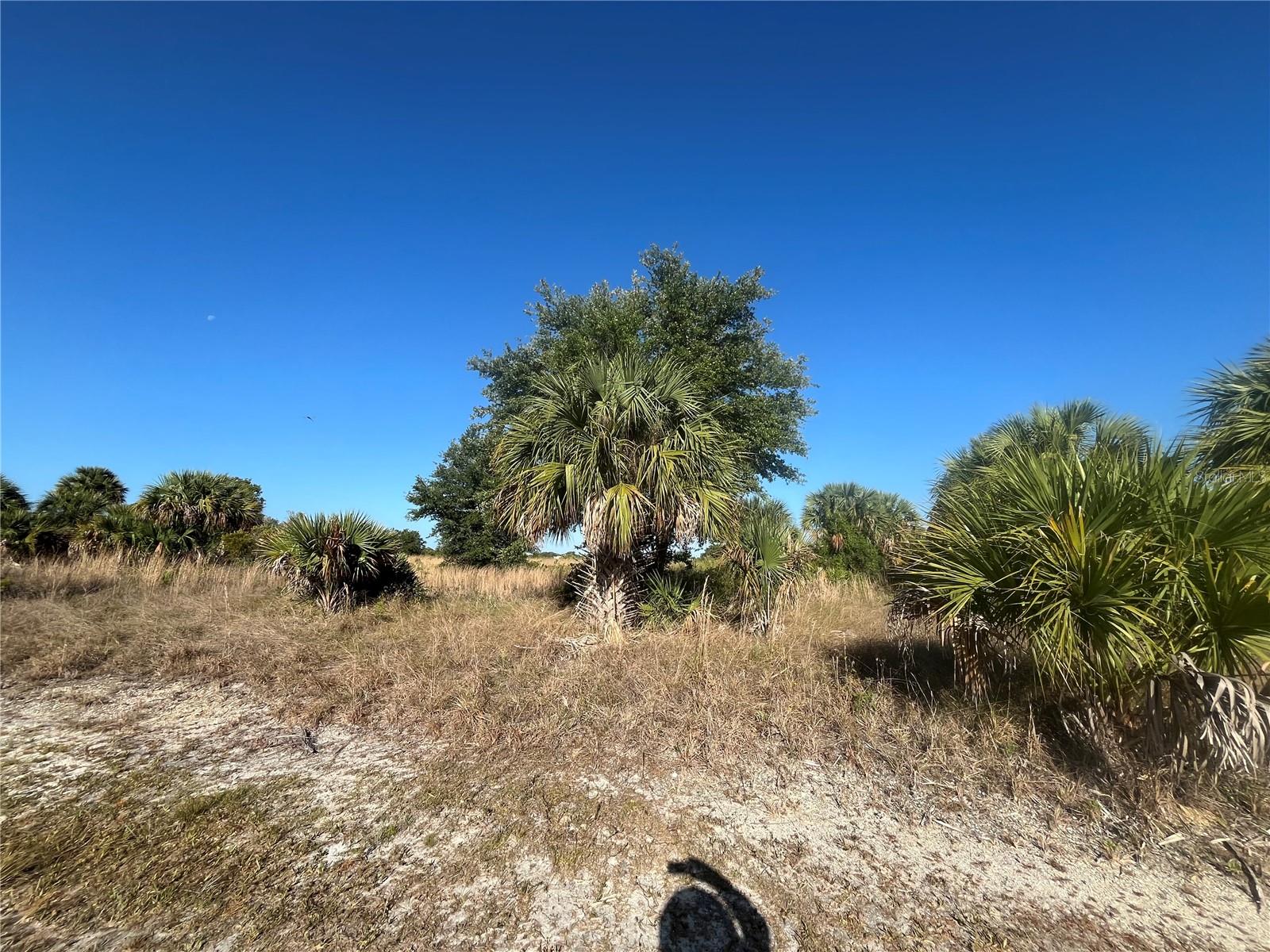 15218 NW 316TH ST, OKEECHOBEE, FL, 34972