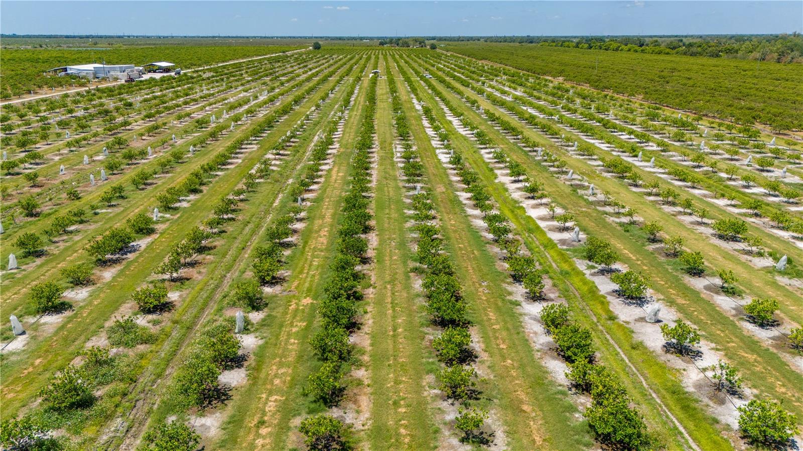 SE HIGHWAY 31 #40, ARCADIA, FL, 34266