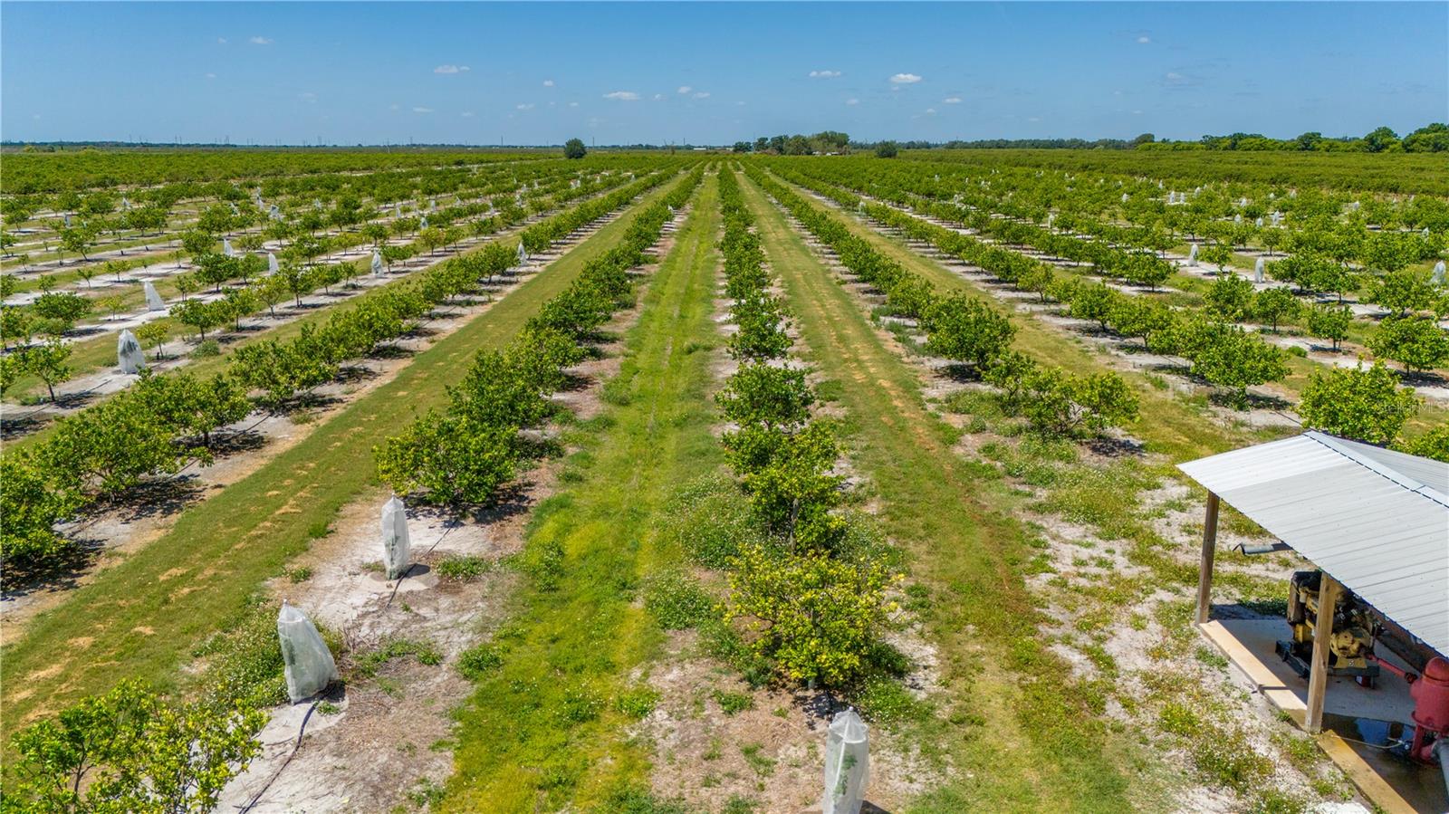 SE HIGHWAY 31 #40, ARCADIA, FL, 34266