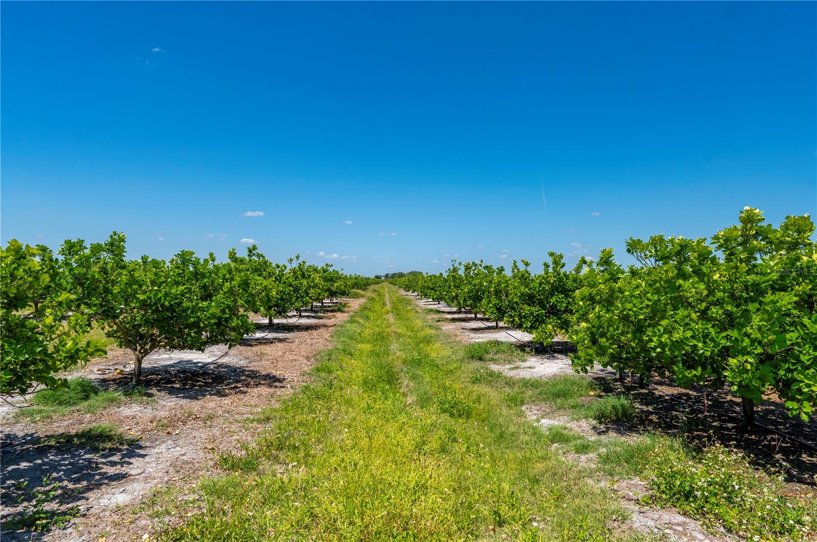SE HIGHWAY 31 #40, ARCADIA, FL, 34266