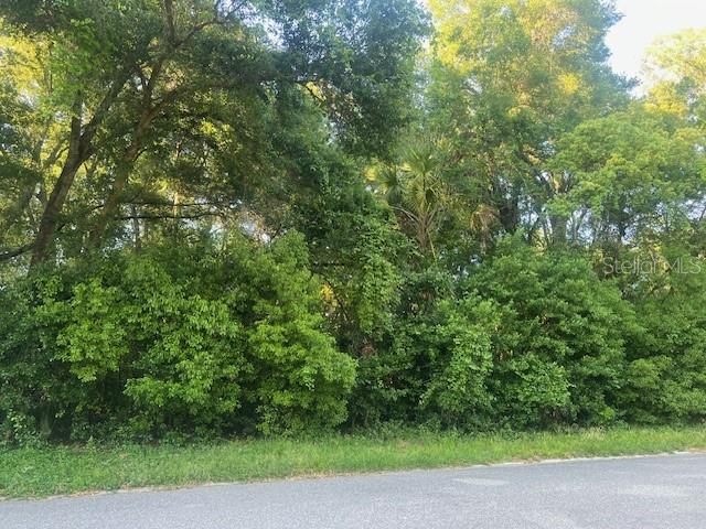 426 W MICHIGAN AVE, LAKE HELEN, FL, 32744