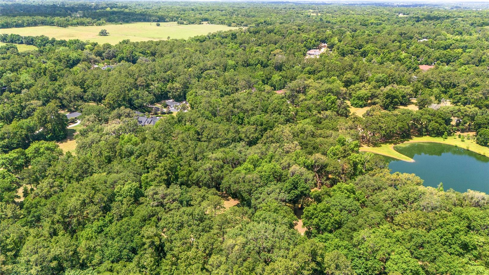 4850 SE 11TH AVE, OCALA, FL, 34480