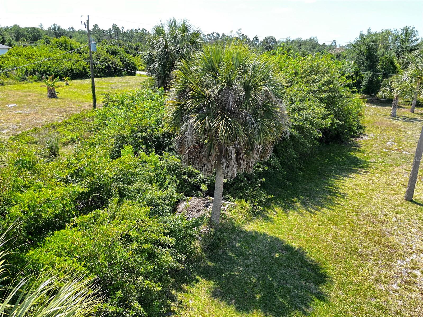 10245 WINSTEAD AVE, ENGLEWOOD, FL, 34224
