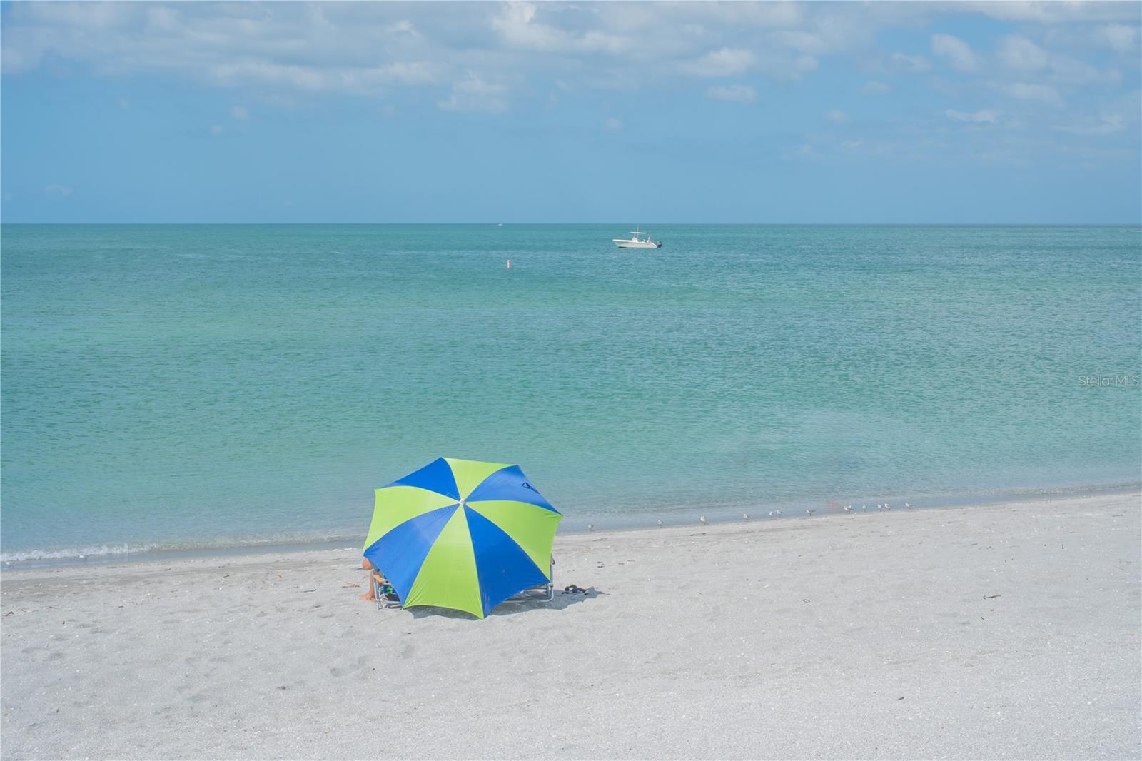 259 REDWOOD RD, VENICE, FL, 34293