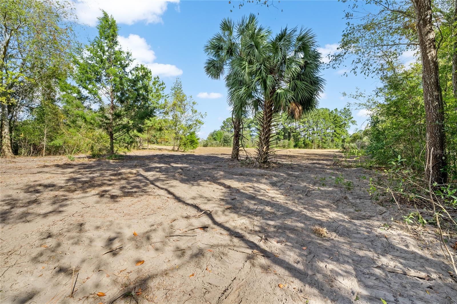 TBD NW 150TH BLVD, NEWBERRY, FL, 32669