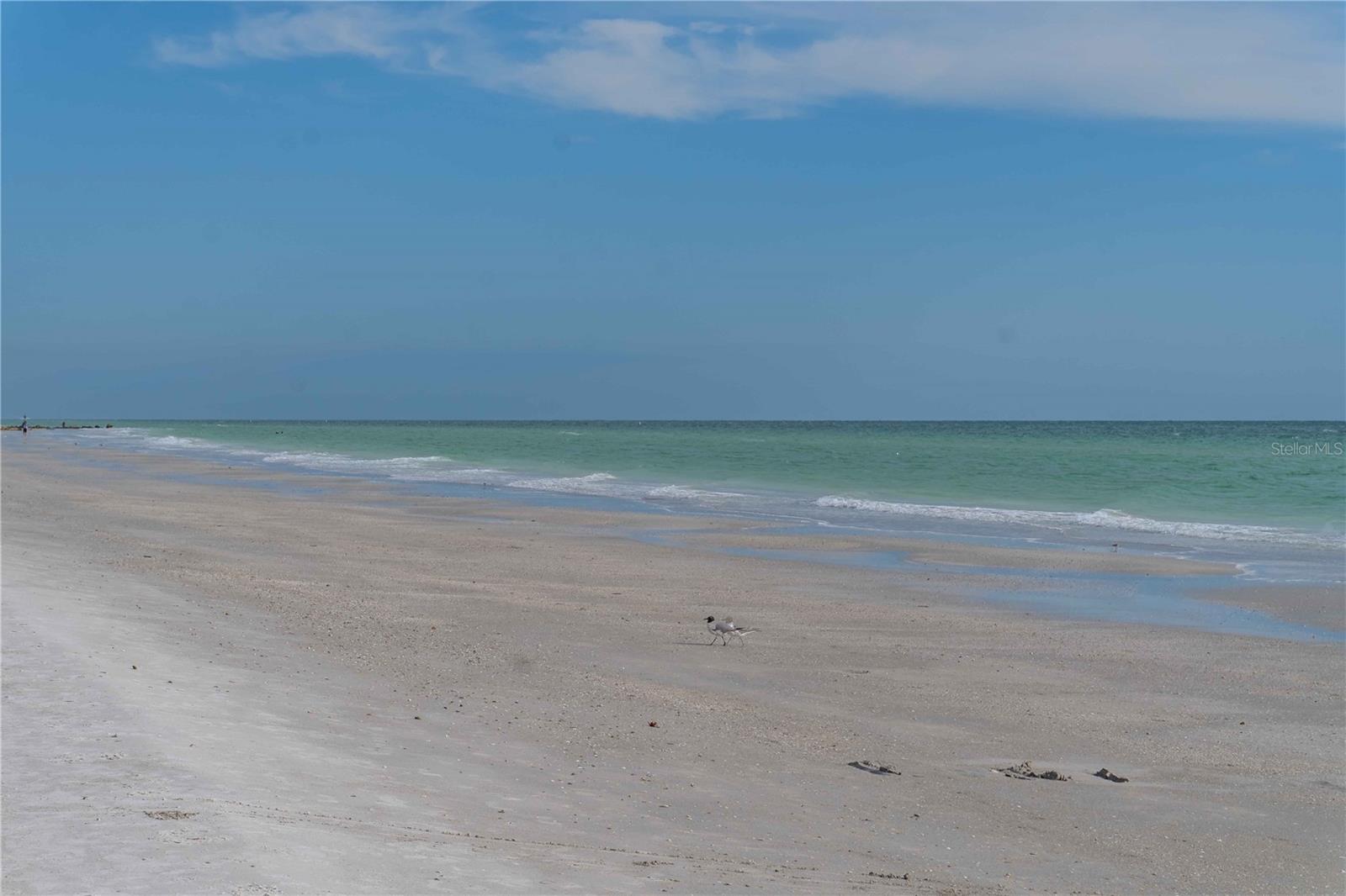 18304 GULF BLVD #108, REDINGTON SHORES, FL, 33708