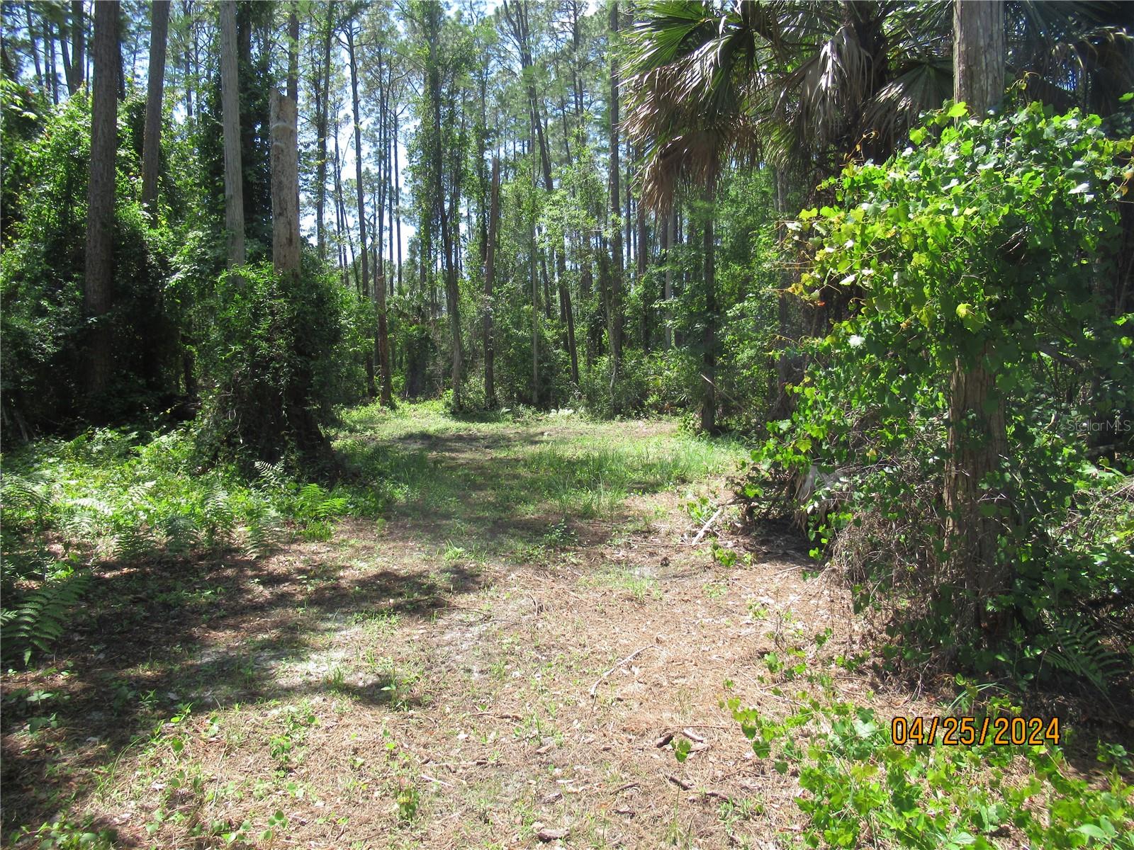 4643 WALNUT AVE, BUNNELL, FL, 32110