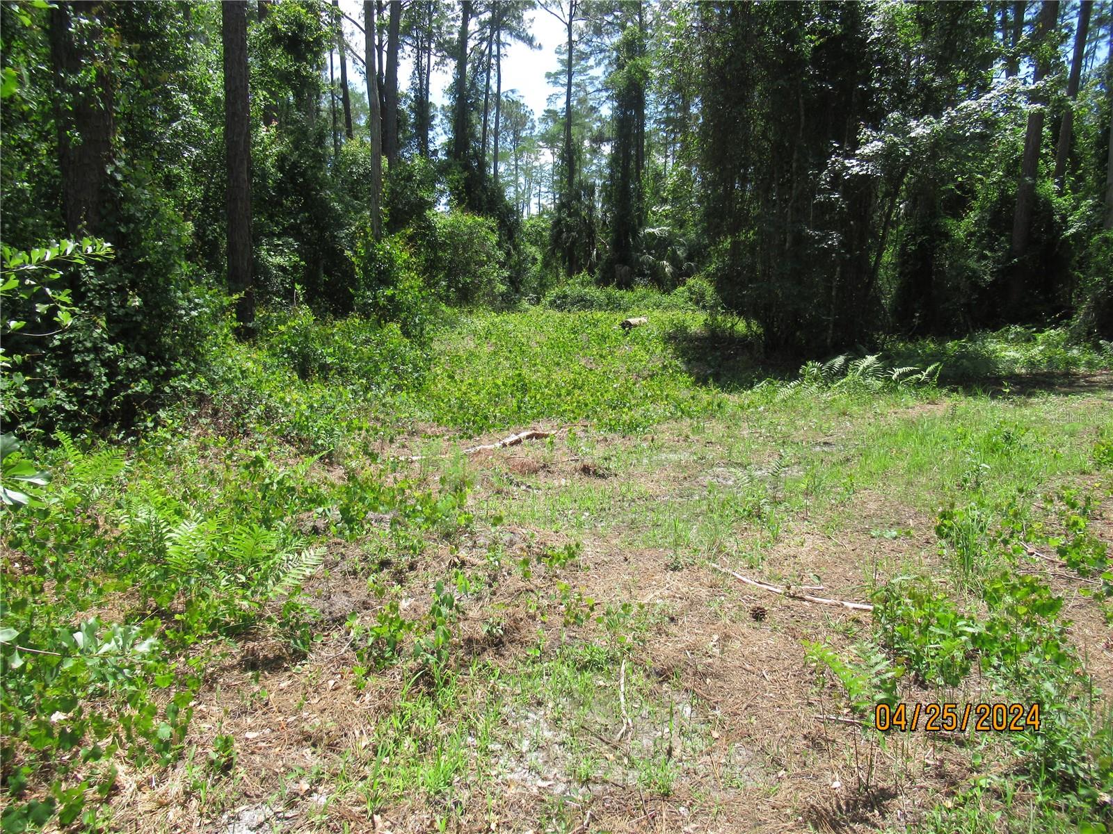 4643 WALNUT AVE, BUNNELL, FL, 32110