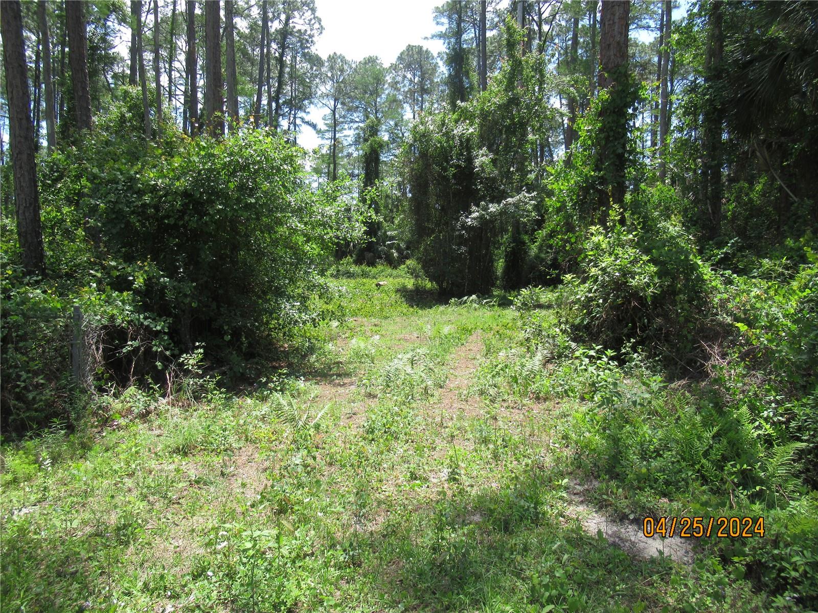 4643 WALNUT AVE, BUNNELL, FL, 32110