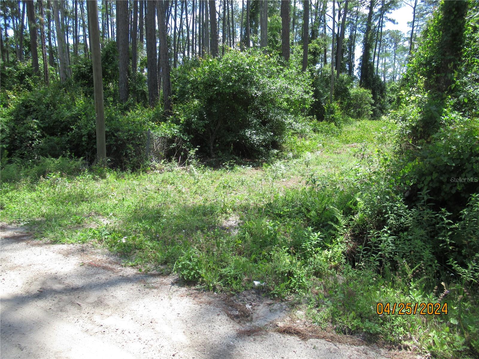 4643 WALNUT AVE, BUNNELL, FL, 32110