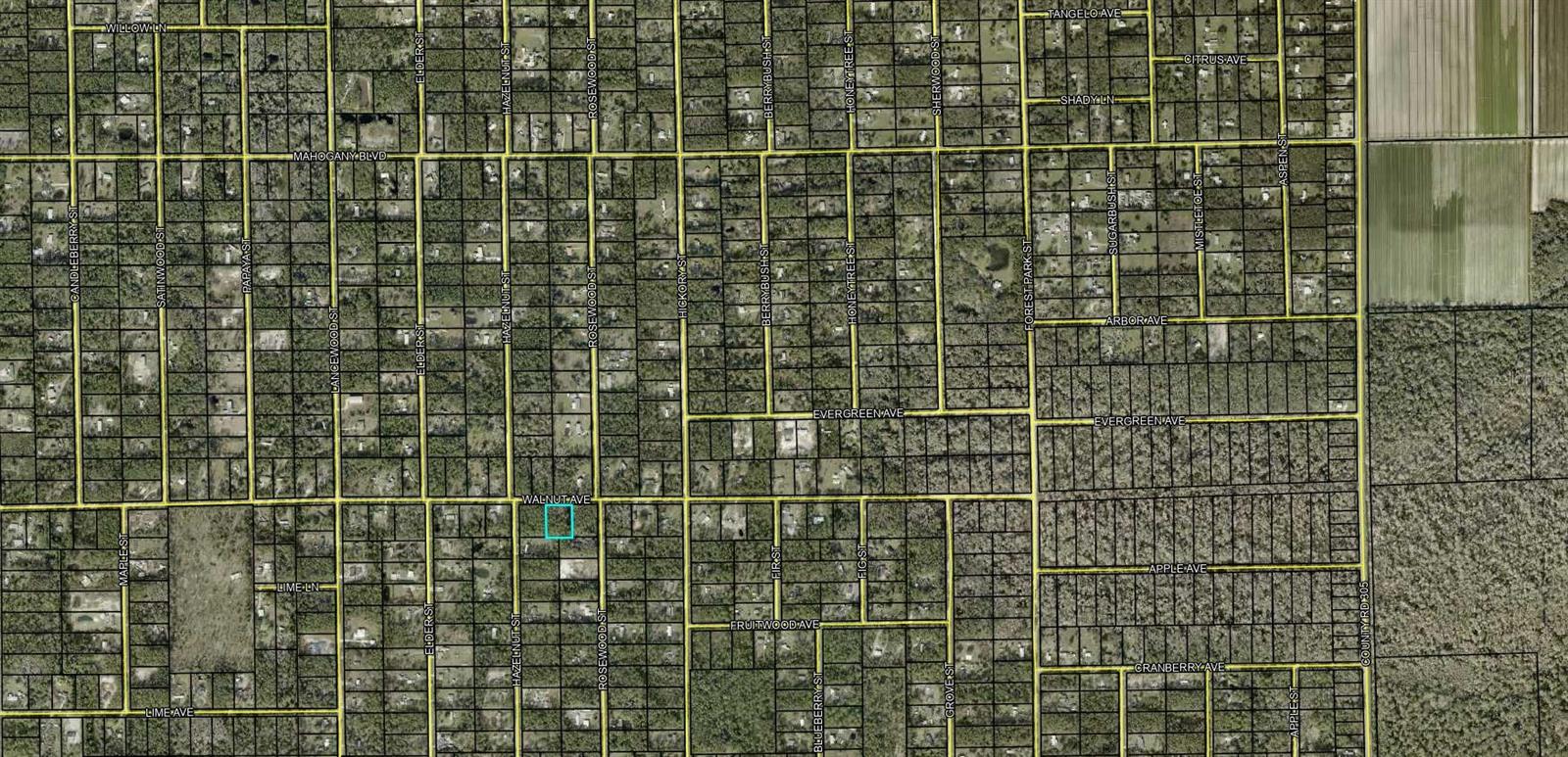 4643 WALNUT AVE, BUNNELL, FL, 32110