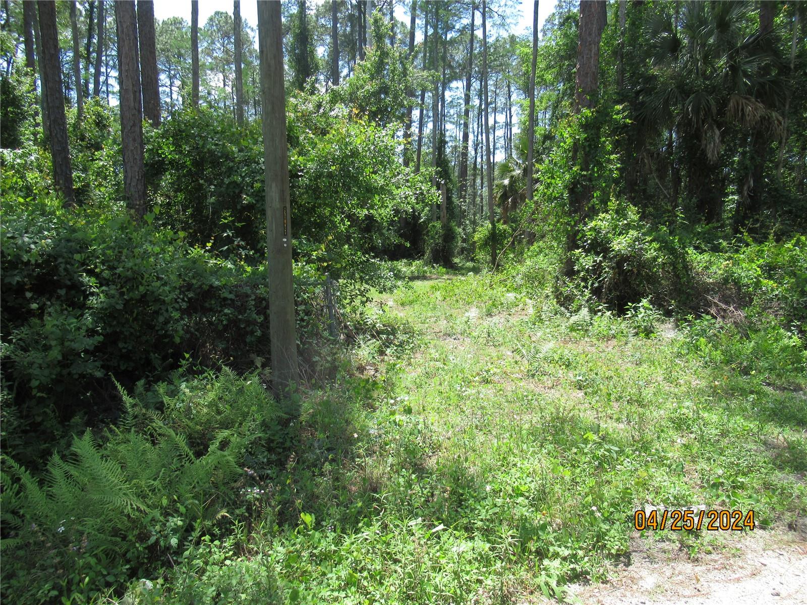 4643 WALNUT AVE, BUNNELL, FL, 32110