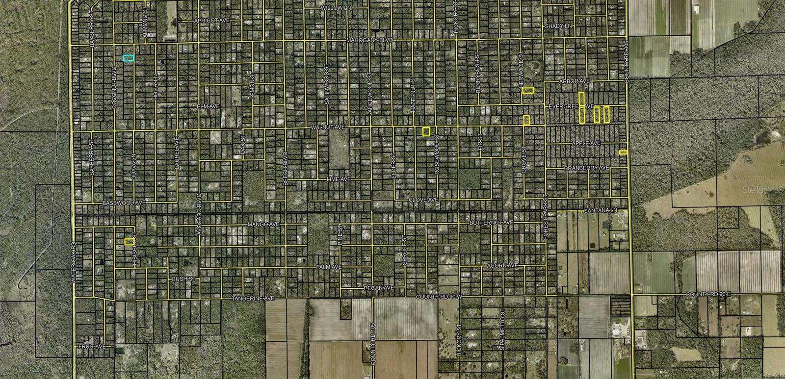 4643 WALNUT AVE, BUNNELL, FL, 32110