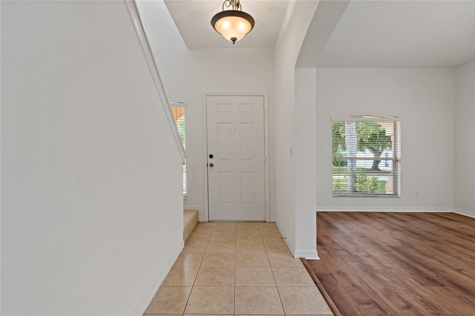 12814 CATTAIL SHORE LN, RIVERVIEW, FL, 33579