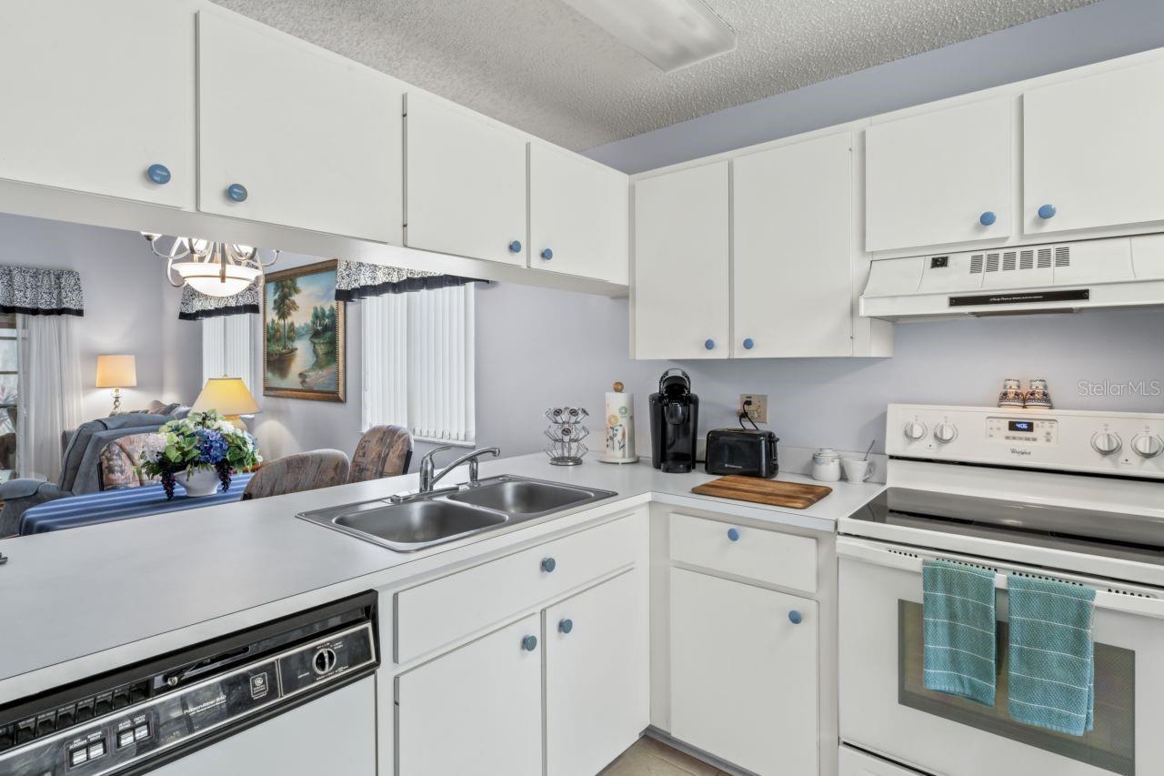 6425 THICKET TRL, NEW PORT RICHEY, FL, 34653