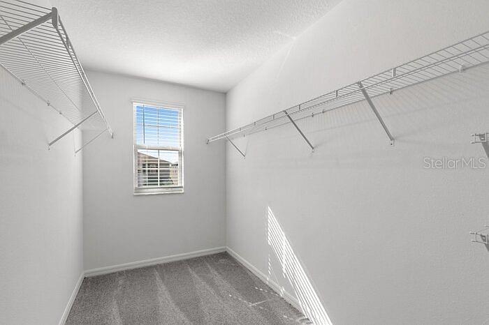 7222 RONNIE GARDEN CT, TAMPA, FL, 33619