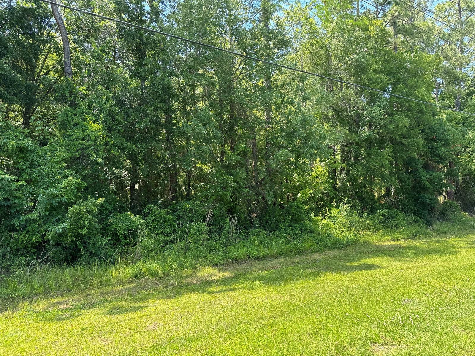 1840 CR-305, BUNNELL, FL, 32110