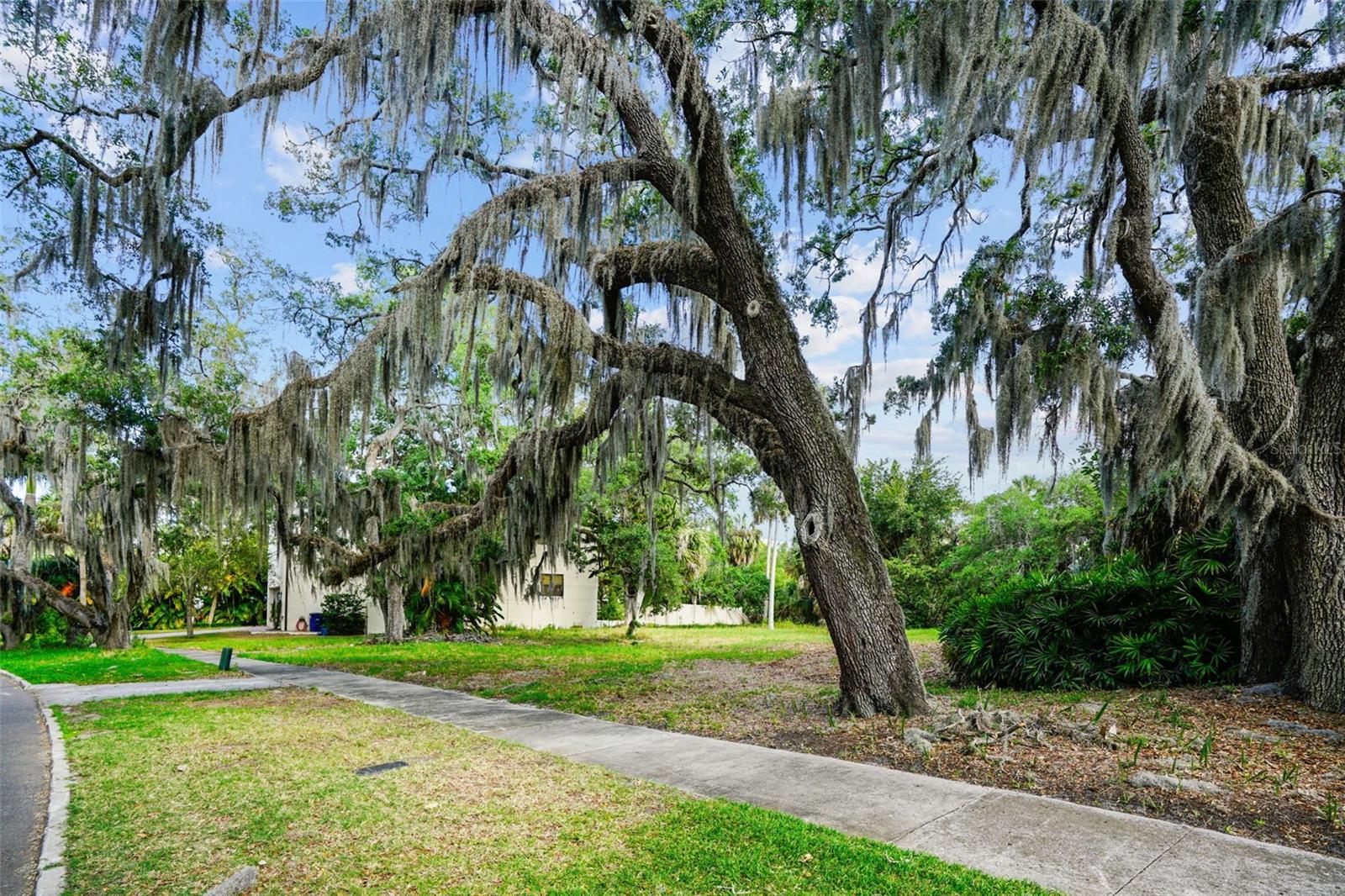 4806 W BEACHWAY DR, TAMPA, FL, 33609