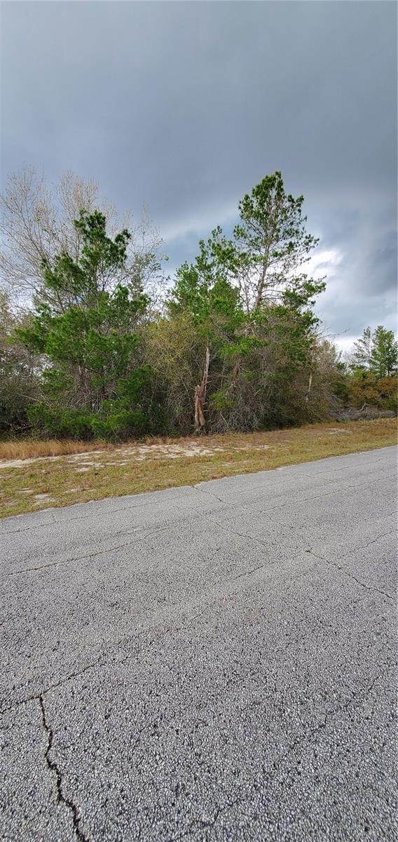 1428 HILLSBOROUGH DR, POINCIANA, FL, 34759