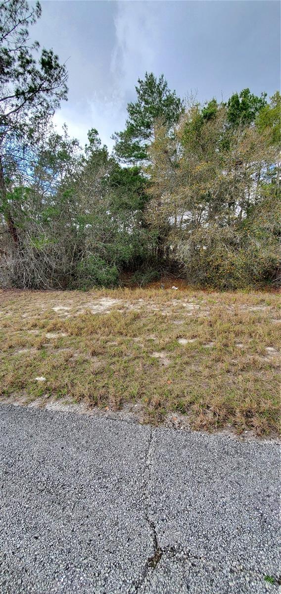 1428 HILLSBOROUGH DR, POINCIANA, FL, 34759