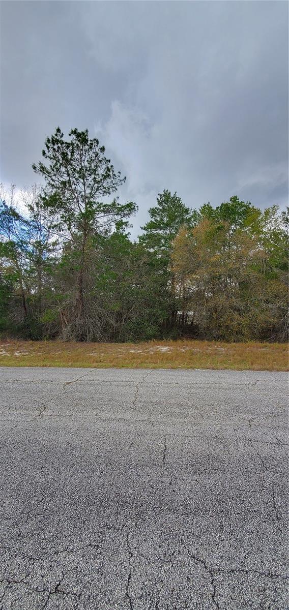 1428 HILLSBOROUGH DR, POINCIANA, FL, 34759