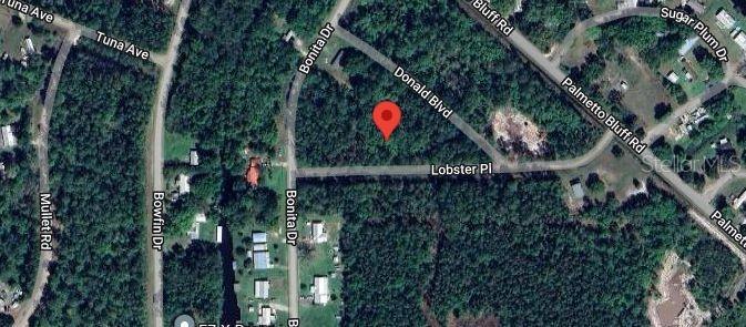 106 LOBSTER PL, PALATKA, FL, 32177