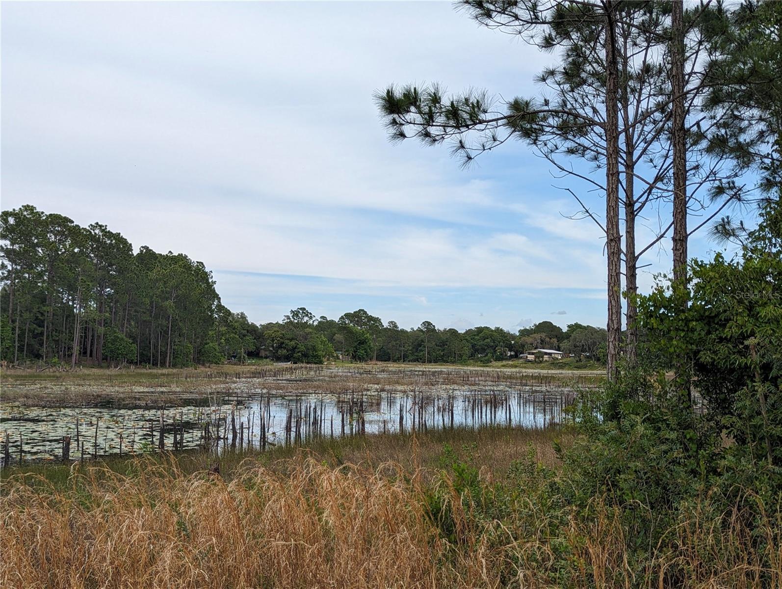 SPRUCE DR, EUSTIS, FL, 32736