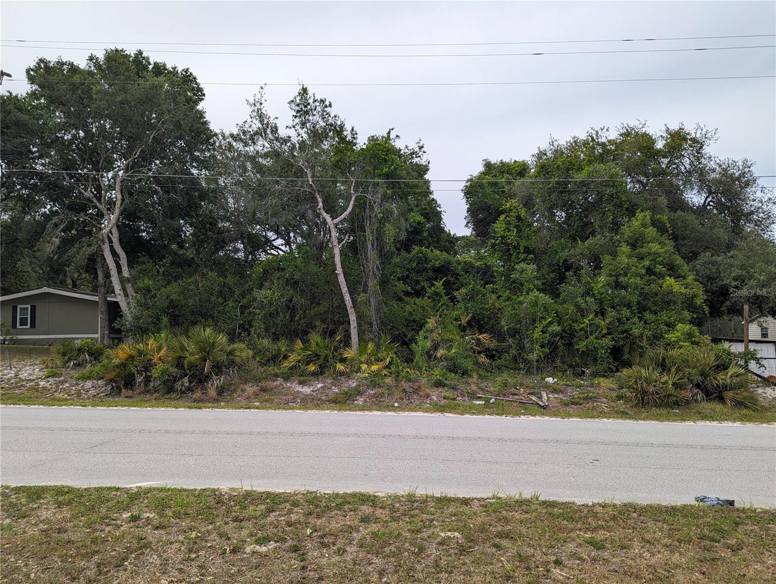 SPRUCE DR, EUSTIS, FL, 32736