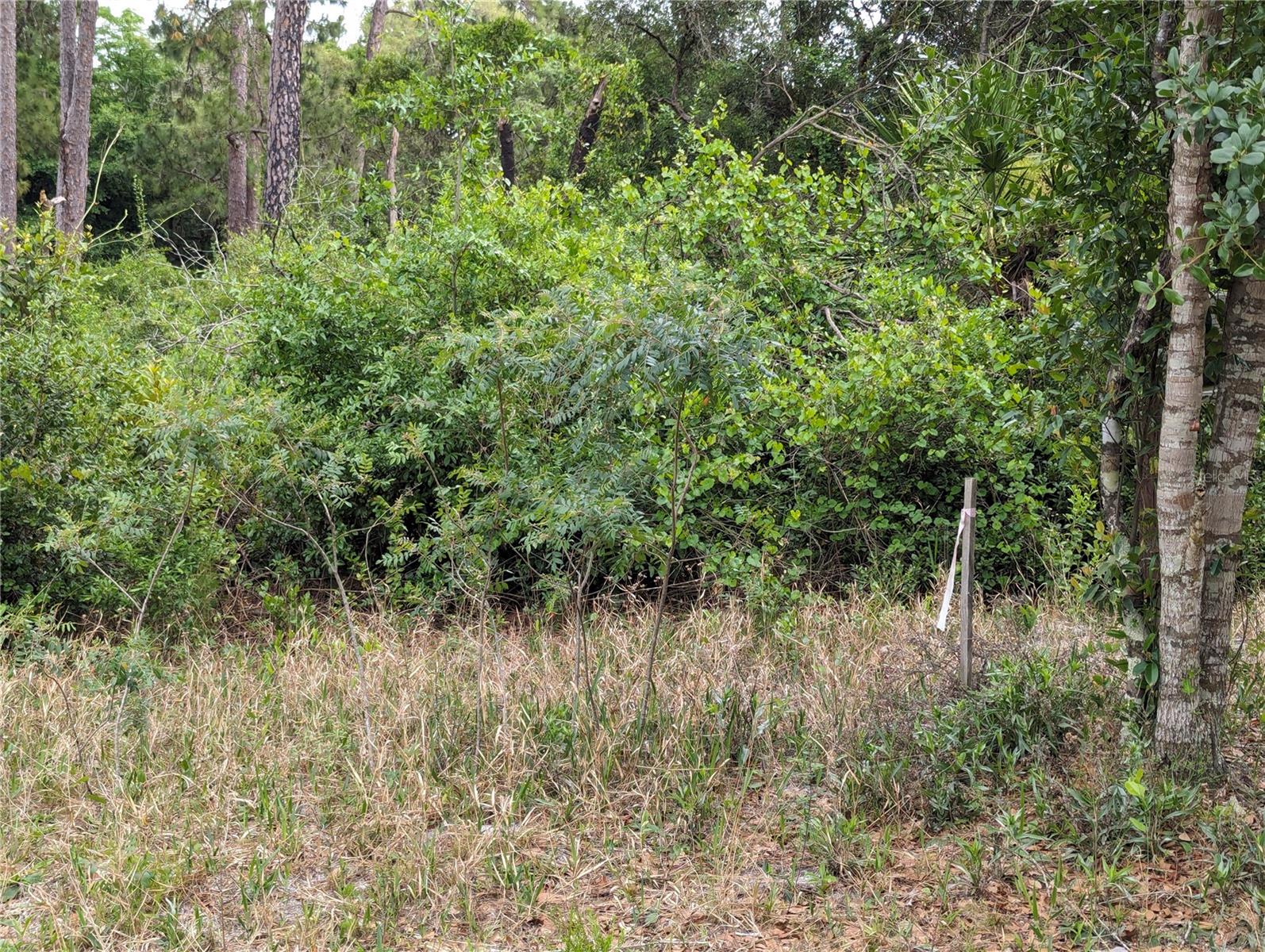 SPRUCE DR, EUSTIS, FL, 32736