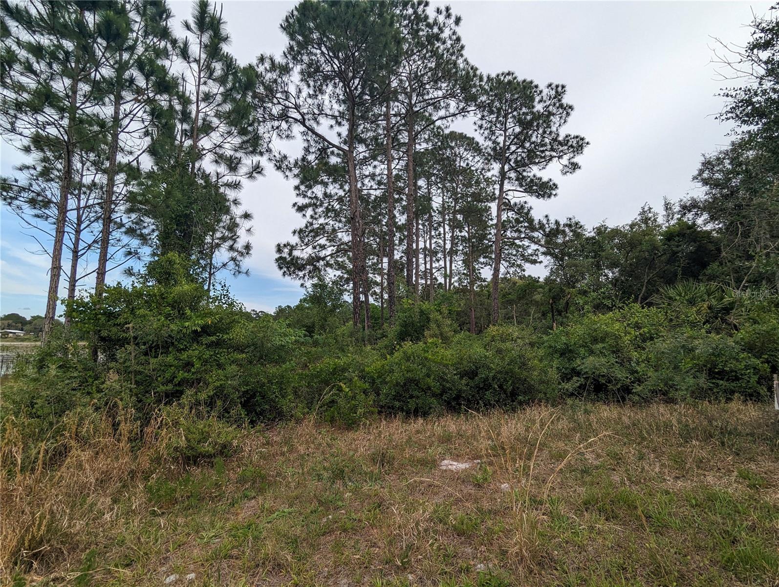 SPRUCE DR, EUSTIS, FL, 32736
