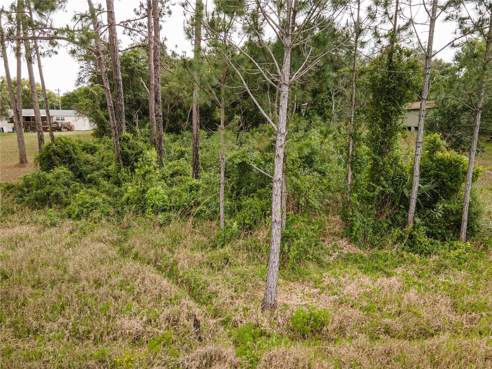 SPRUCE DR, EUSTIS, FL, 32736