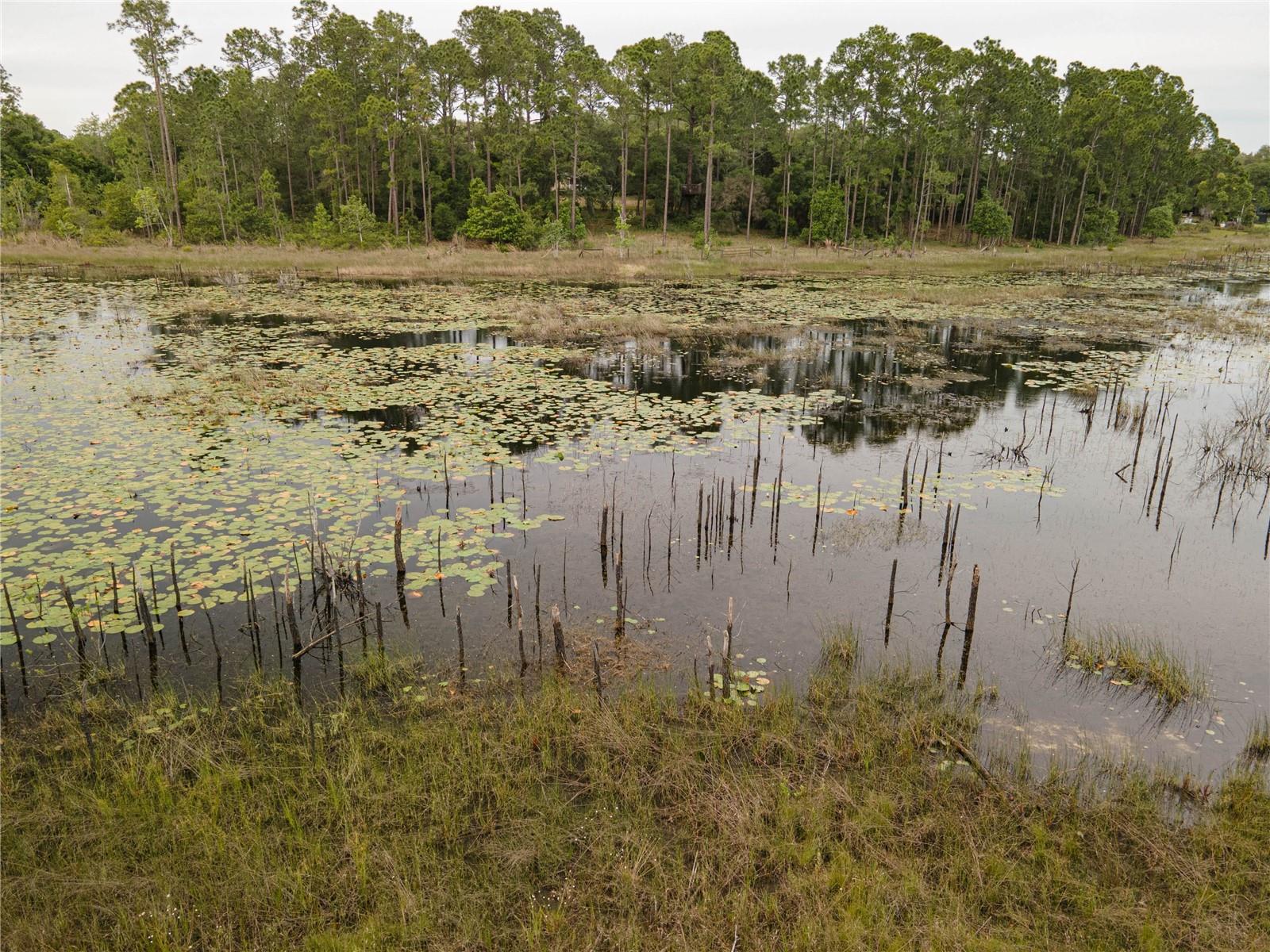 SPRUCE DR, EUSTIS, FL, 32736