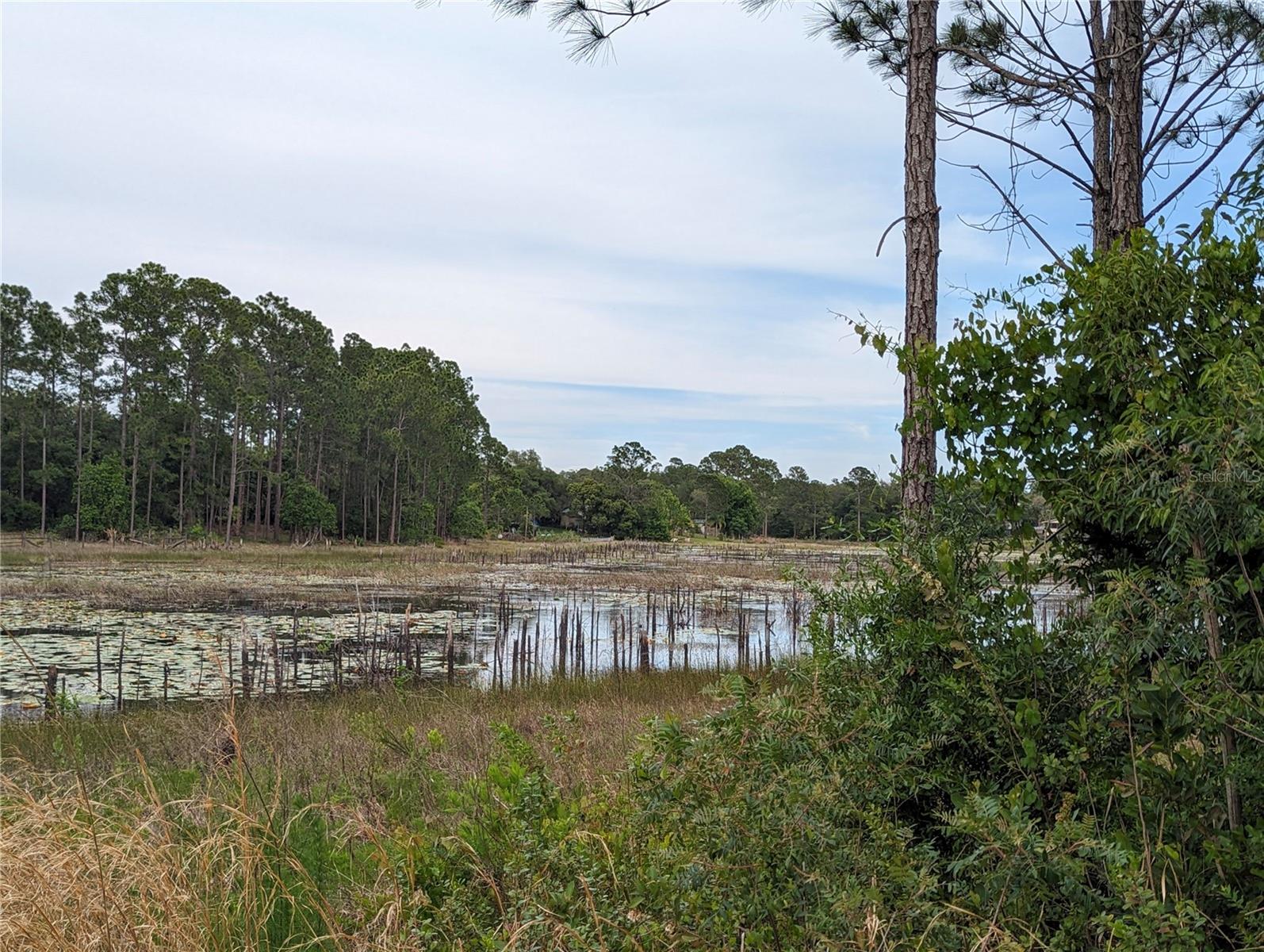 SPRUCE DR, EUSTIS, FL, 32736